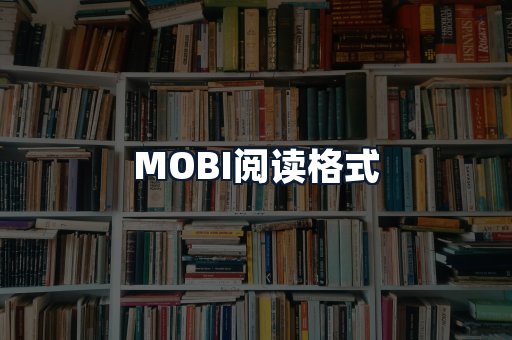 MOBI阅读格式